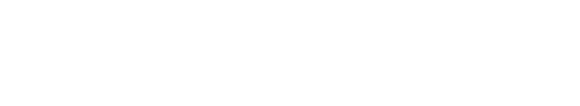 nVision logo